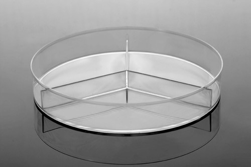 100 x 15 mm Petri Dish, Y-Plate (3-Section), Stackable Petri Dish, Polished Polystyrene, RNase and DNase Free, Sterile 