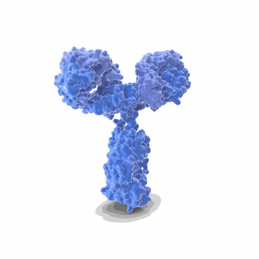 [GEN-ANTI-08] Gentaur Mouse Biotin Mab Antibody